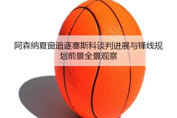 阿森纳夏窗追逐塞斯科谈判进展与锋线规划前景全景观察